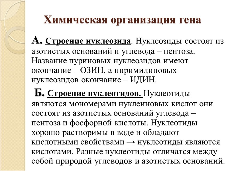 Химическая организация гена А. Строение нуклеозида. Нуклеозиды состоят из азотистых оснований и углевода –